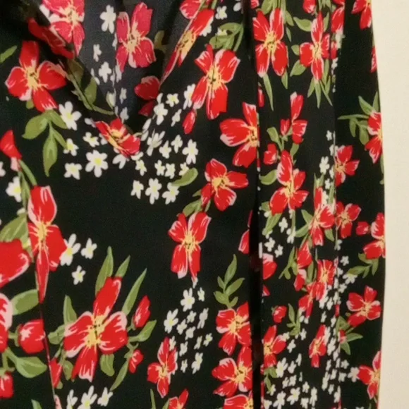 Allegra K [NWOT] Black and Red Floral Dress - Picture 8 of 10